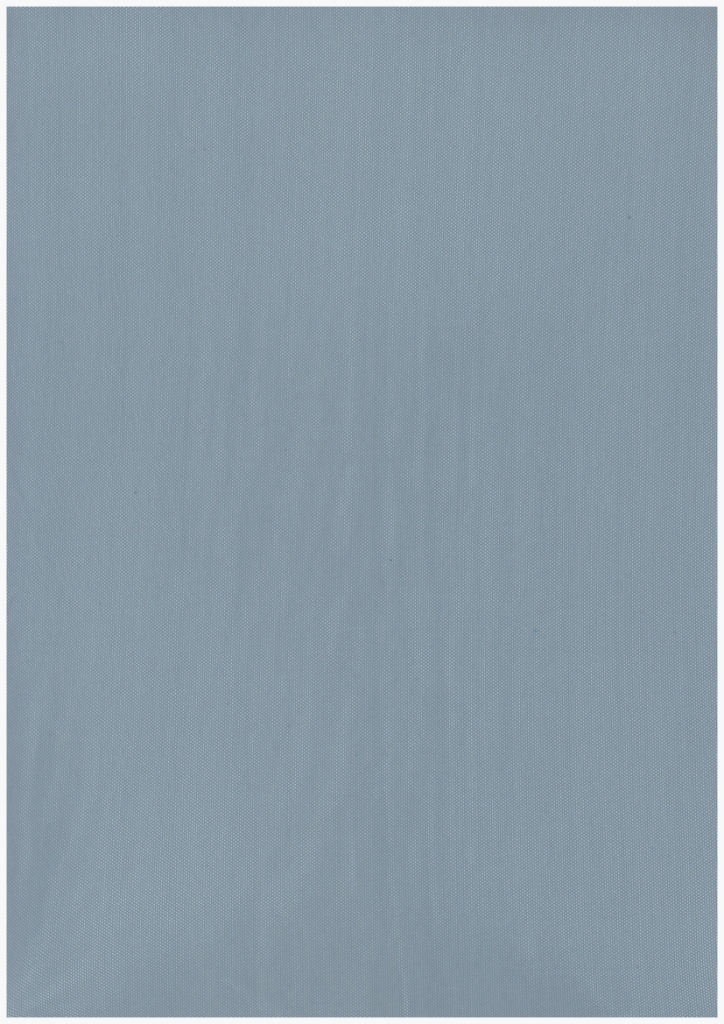 �������� 031110 175 080 01  Lila  �����